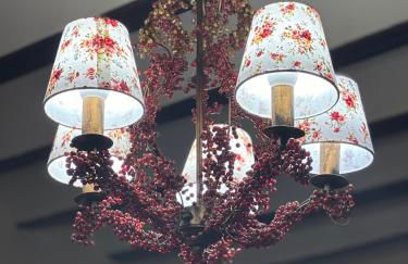 Casa Rural con encanto Señorio Manchego ALBACETE - Foto 37