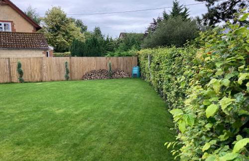 Little Foxes - Photo 38