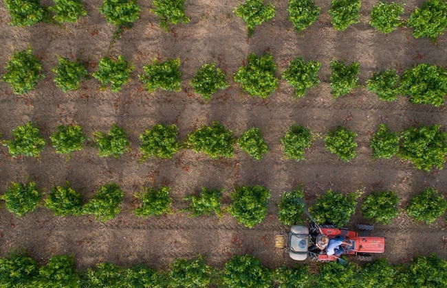 Aneli Villas - Villa Anastasia - Foto 68