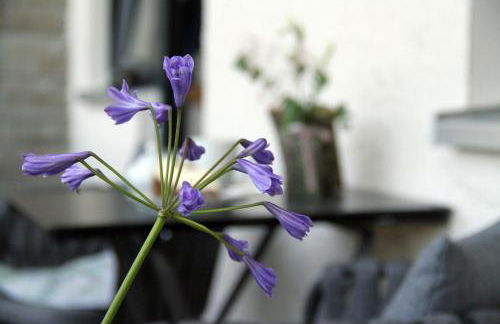 Bergzauber Alpin Suites - Skipiste - Private Sauna - Foto 19