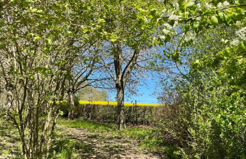 Apartment Nelke by Interhome - Foto 18