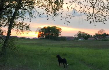 Fewo "Auszeit" Schwanow mit großem Balkon - Foto 27