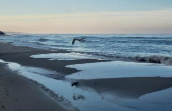 Leśna Przystań Rumia - obok Gdyni i Aquaparku Reda - Foto 53