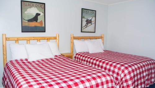 Winterplace Ski In Ski Out First Floor D104 - Foto 3