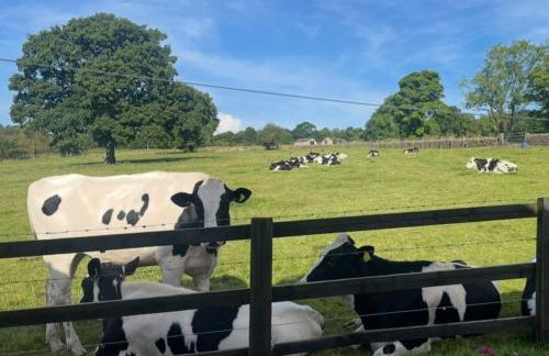 Cherry Blossom Cottage in Kettlesing - Photo 19
