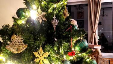 Διώροφο πέτρινο σπίτι με θέα Agiasos Classic Stone House - Foto 5