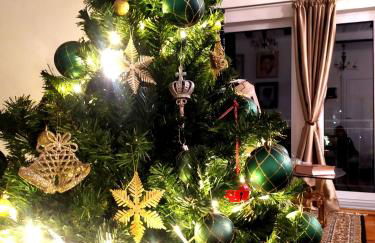 Διώροφο πέτρινο σπίτι με θέα Agiasos Classic Stone House - Foto 5