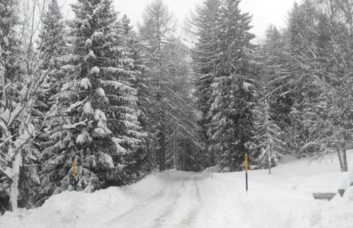 Maso Clementina - Foto 34