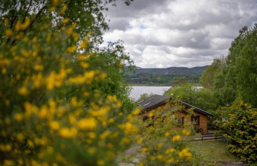 Loch Insh Chalets and Apartments - Foto 40