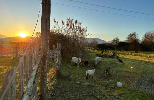 Villa Caline, 4 chambres, lotissement calme et proche mer - Foto 36