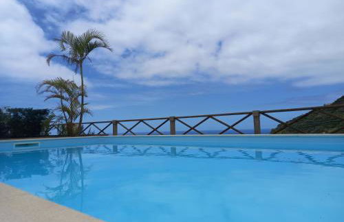 Tropical Garden - Photo 9