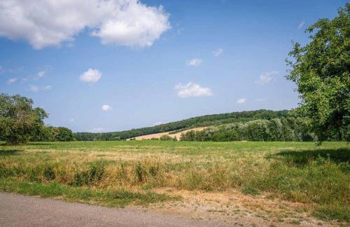 Ferienwohnung Kleinmünster - Foto 15