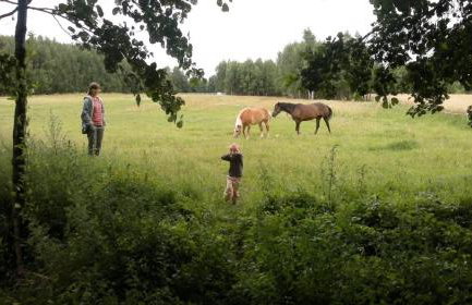 Domek Drewniany - Foto 54