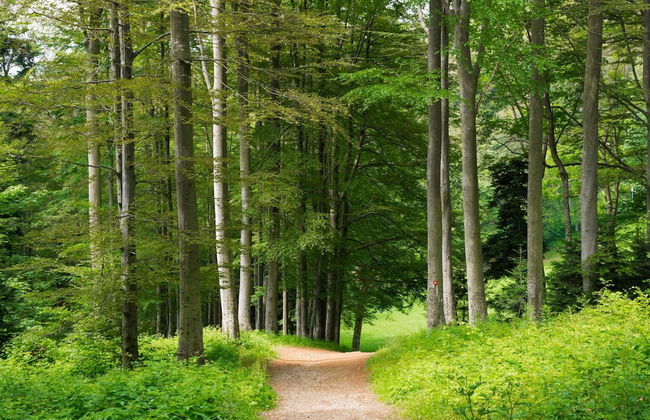 Lovely House Near Zagreb With Terrace - Foto 21