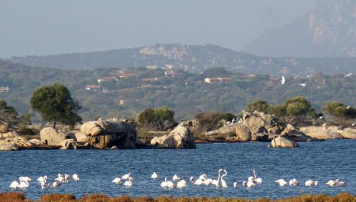 Villa Alzoni - Foto 3