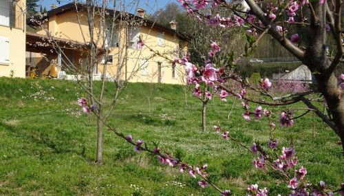 CASCINA LEGNAGO trilocale a 6 chilometri da SALO' - Foto 4, Garden