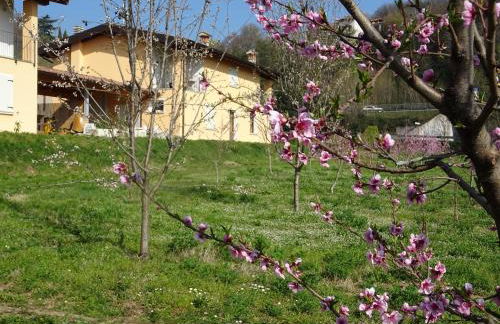 CASCINA LEGNAGO trilocale a 6 chilometri da SALO' - Foto 4