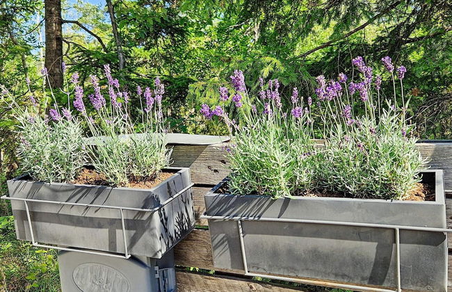 4 Star Holiday Home in Klintehamn-by Traum - Foto 34