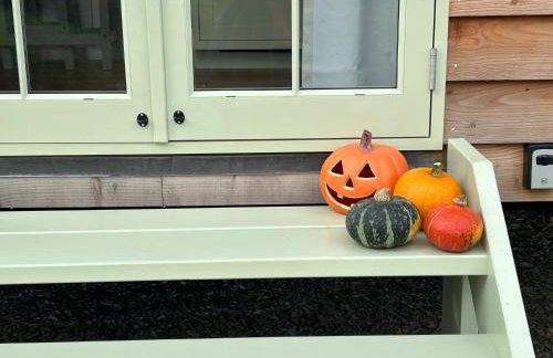 Cosy Devon Hut Woodland Views - Photo 63