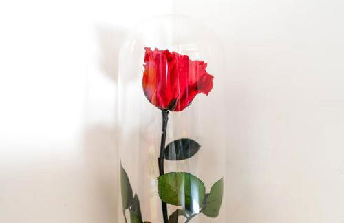 Manoir de L'Aisnerie - Foto 66