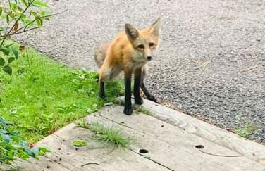 Aspen's Cabin - Foto 18