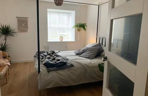 Cartref 2 Double Bed Apartment Nebo Dogs Welcome - Foto 7