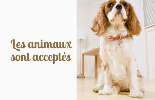 20 min Lioran, Maison familiale en Auvergne, Nature et Confort, - Photo 44