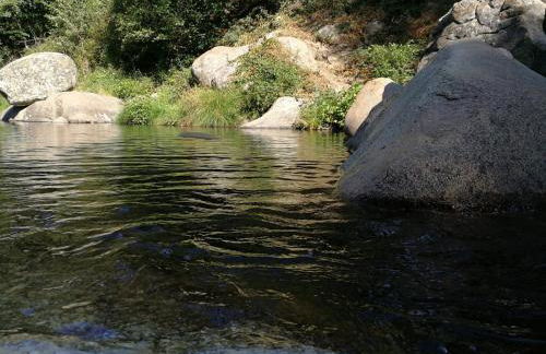 Hospederia Doña Ligia - Foto 41
