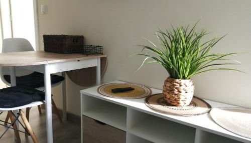 Carolina Studio - Foto 2