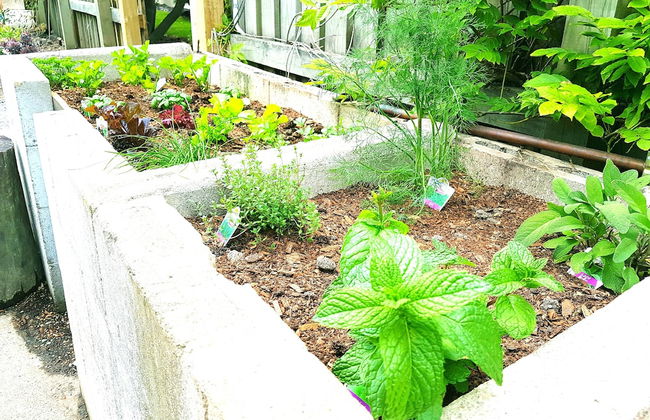 Harold House - Foto 30