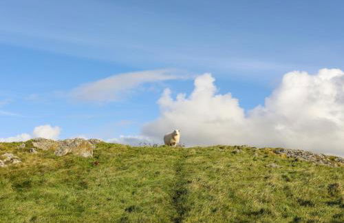 Bryn Y Mor - Foto 42