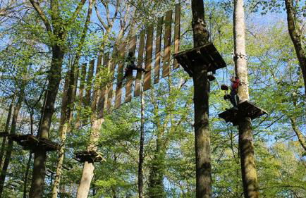 Maison éco-chic 4 chambres proche Lac et Troyes jardin WiFi nigloland - Foto 67