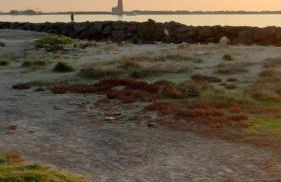 La Terrazza sul Faro - Foto 42