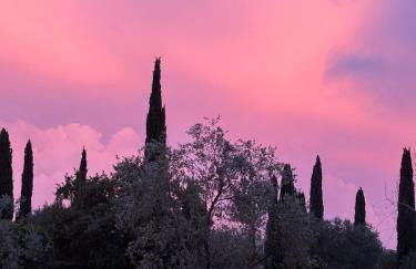 Ghiaccio Bosco - Foto 6