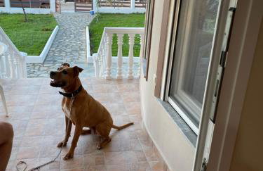 Olivia apartment - Foto 15