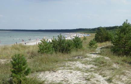 Ferienhaus Gut Rattelvitz Insel Rügen - Foto 20