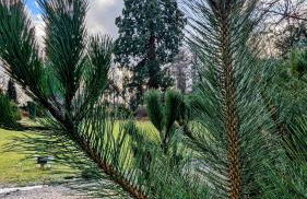 Luxury Shepherds Hut on Powis House Estate - Foto 16