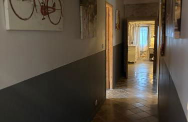 Domaine de la barbeirasse - Foto 71