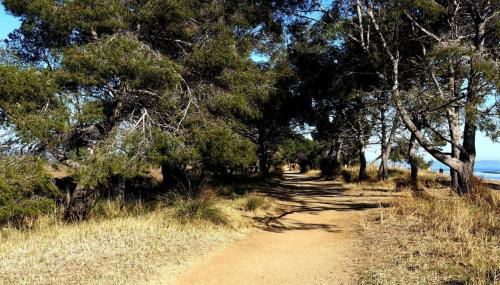 Studio à 50 m de la plage et du sentier littoral - Foto 5