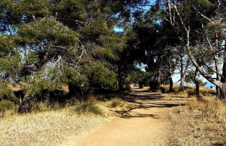 Studio à 50 m de la plage et du sentier littoral - Foto 5