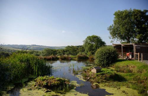 Lavender Cottage - Foto 21