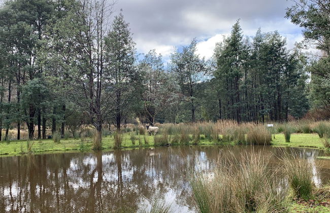 Giants Table and Cottages - Foto 55