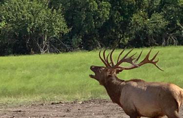 Hitching Post - Photo 7