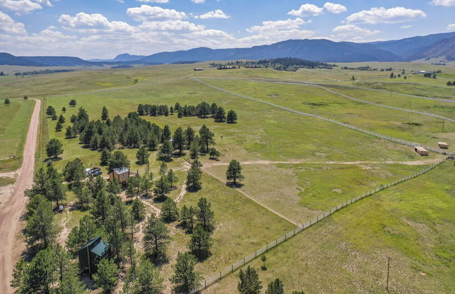 Tree Eagles Nest - Foto 40