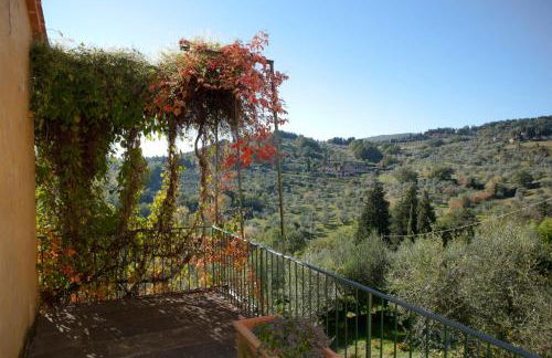 Villa di Campolungo Agriturismo - Foto 20