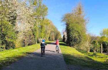 L'Eucalyptus - Foto 49