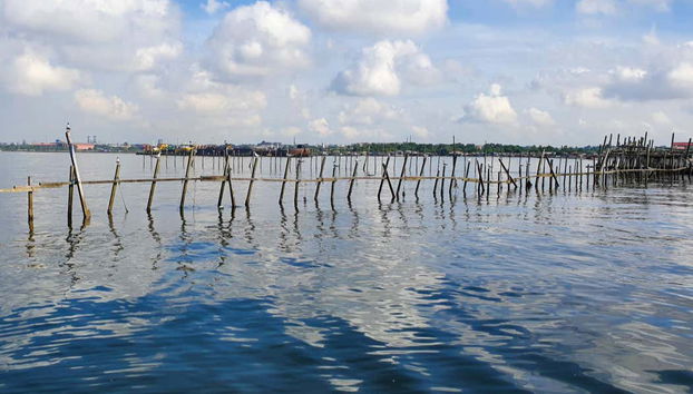 Littoral de Pulau Ubin