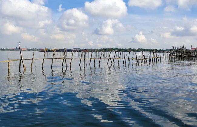 Giro in barca a Pulau Ubin - Foto 9