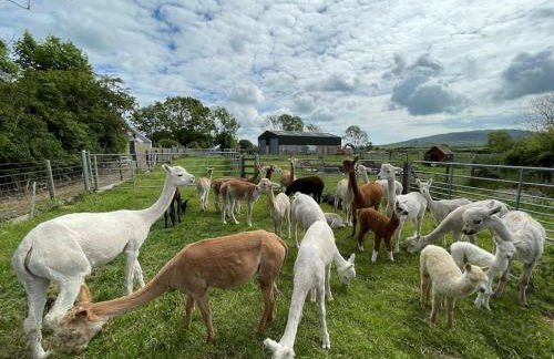 The Alpaca Farmhouse with hot tub and alpaca experience included - Foto 17