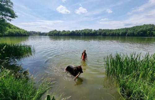 Domek de Janauis - Foto 51